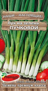 картинка Лук на зелень Пучковой 1г ц/п (ПрСидс) магазин Одежда+ являющийся официальным дистрибьютором в России 