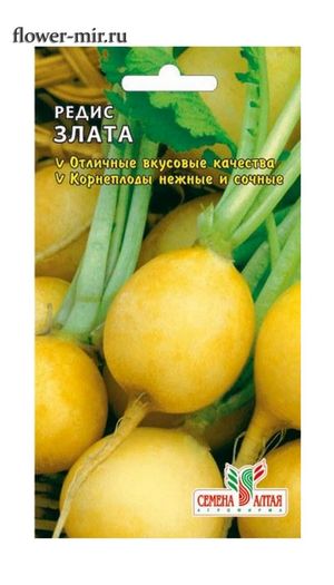 картинка Редис Злата 2г б/п (СемАлт) желтый магазин Одежда+ являющийся официальным дистрибьютором в России 