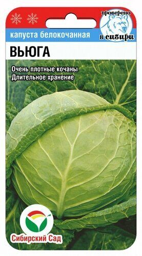 картинка Капуста Вьюга 0,3г (СибСад) с/поздняя,до 5кг,д/хранения магазин Одежда+ являющийся официальным дистрибьютором в России 