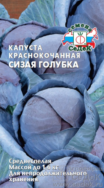картинка Капуста краснокочанная Сизая голубка 0,5г ц/п (Седек)  магазин Одежда+ являющийся официальным дистрибьютором в России 