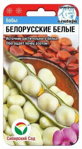 картинка Бобы Белорусские белые 5шт (СибСад) магазин Одежда+ являющийся официальным дистрибьютором в России 