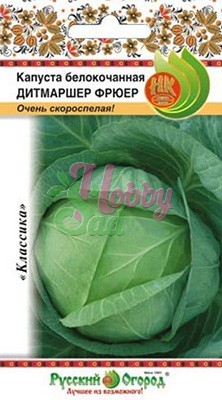 картинка Капуста Дитмаршер Фрюер 0,5г ц/п (НК)  магазин Одежда+ являющийся официальным дистрибьютором в России 