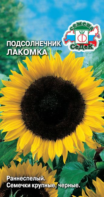 картинка Подсолнечник Лакомка 5г ц/п (Седек) магазин Одежда+ являющийся официальным дистрибьютором в России 