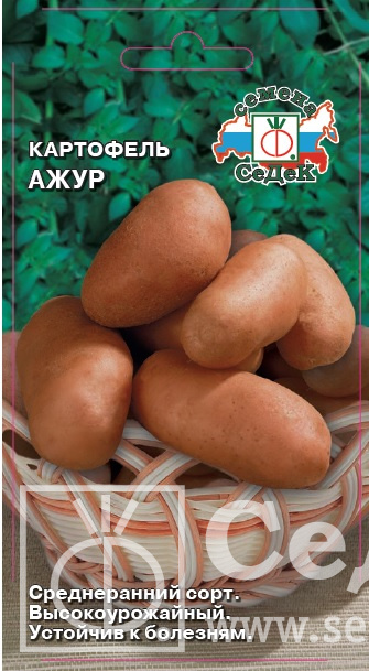 картинка Картофель Ажур 0,02г ц/п (Седек)  магазин Одежда+ являющийся официальным дистрибьютором в России 