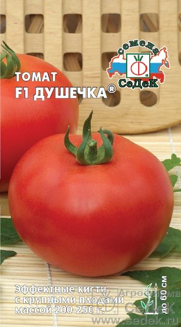 картинка Томат Душечка F1 0,05г ц/п (Седек) детерм. 250г.раннес. магазин Одежда+ являющийся официальным дистрибьютором в России 