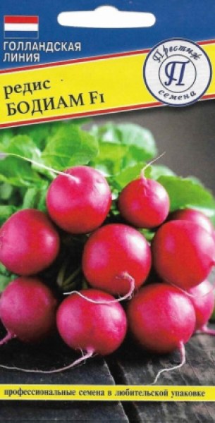 картинка Редис Бодиам F1 0,5г (Престиж)  магазин Одежда+ являющийся официальным дистрибьютором в России 