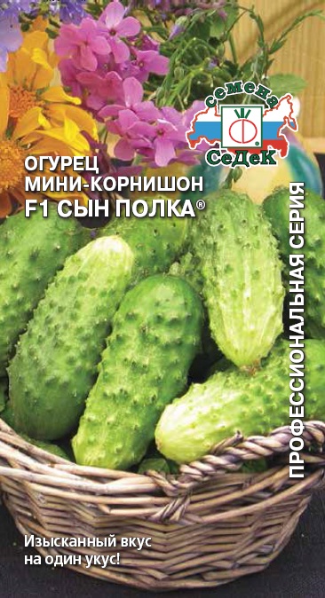 картинка Огурец Сын Полка F1 0,3г ц/п (Седек) магазин Одежда+ являющийся официальным дистрибьютором в России 