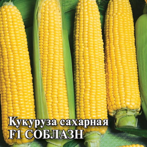 картинка Кукуруза Соблазн F1 100г (Гавриш) магазин Одежда+ являющийся официальным дистрибьютором в России 