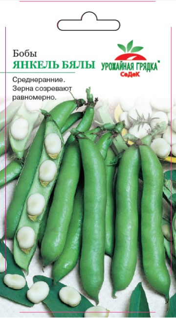 картинка Бобы Янкель Бялы 10г ц/п (Седек) семена крупные, бежевые, яйцевидные магазин Одежда+ являющийся официальным дистрибьютором в России 