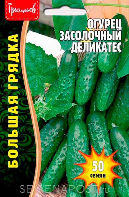картинка Огурец Засолочный деликатес 50шт (Григорьев)  магазин Одежда+ являющийся официальным дистрибьютором в России 