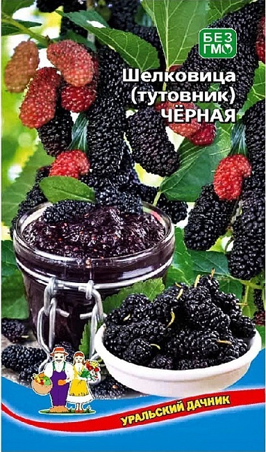картинка Шелковица (тутовник) Черная ц/п (УД) магазин Одежда+ являющийся официальным дистрибьютором в России 