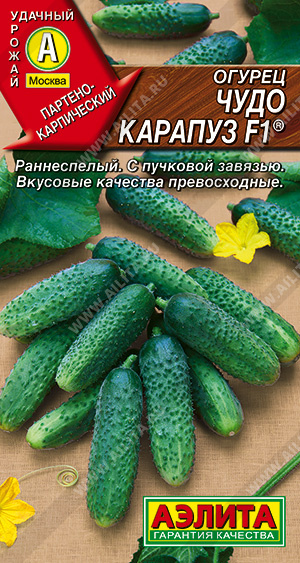 картинка Огурец Чудо Карапуз F1 10шт ц/п (Аэлита) магазин Одежда+ являющийся официальным дистрибьютором в России 