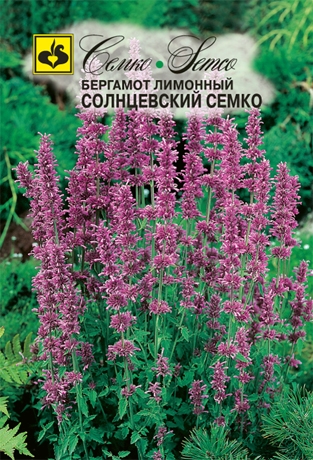 картинка Бергамот (Монарда) лимонный солнцевский 0,05г (Семко) магазин Одежда+ являющийся официальным дистрибьютором в России 
