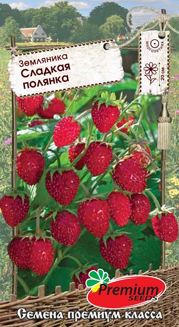 картинка Земляника Сладкая полянка 0,04г ц/п (ПрСидс) магазин Одежда+ являющийся официальным дистрибьютором в России 