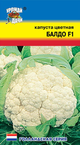 картинка Капуста цветная Балдо F1 10шт ц/п (УУ) магазин Одежда+ являющийся официальным дистрибьютором в России 