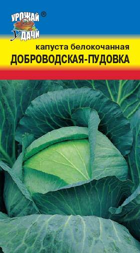 картинка Капуста Доброводская-Пудовка 0,5г ц/п (УУ)  магазин Одежда+ являющийся официальным дистрибьютором в России 