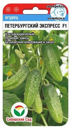 картинка Огурец Петербургский экспресс F1 7шт (СибСад)  магазин Одежда+ являющийся официальным дистрибьютором в России 