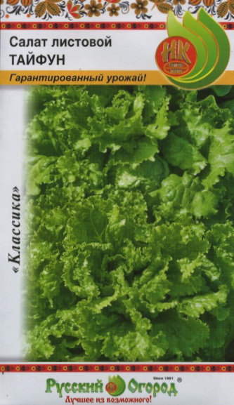 картинка Салат Тайфун листовой 1г ц/п (НК)  магазин Одежда+ являющийся официальным дистрибьютором в России 