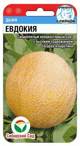 картинка Дыня Евдокия 7шт скороспелая (СибСад) 2кг магазин Одежда+ являющийся официальным дистрибьютором в России 