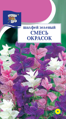картинка Шалфей Мускатный 0,2г ц/п (УУ) магазин Одежда+ являющийся официальным дистрибьютором в России 