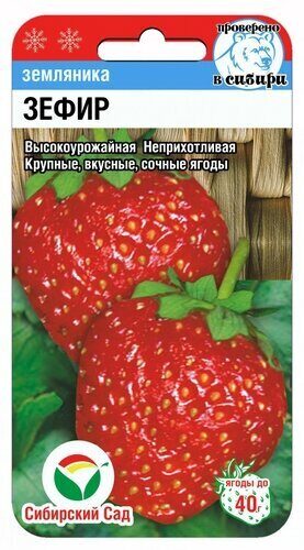 картинка Земляника Зефир 10шт (СибСад) магазин Одежда+ являющийся официальным дистрибьютором в России 