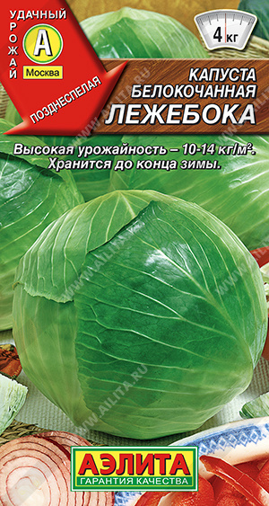 картинка Капуста Лежебока 0,3г ц/п (Аэлита) поздн.хранение.4кг магазин Одежда+ являющийся официальным дистрибьютором в России 