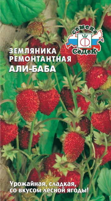 картинка Земляника Али-Баба 0,04г ц/п (Седек) плодоносит весь сезон, усов не дает, до 4-5 г магазин Одежда+ являющийся официальным дистрибьютором в России 