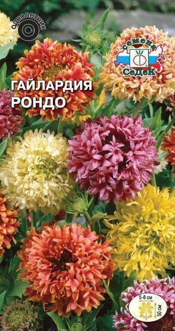 картинка Гайлардия Рондо 0,2г ц/п (Седек) магазин Одежда+ являющийся официальным дистрибьютором в России 