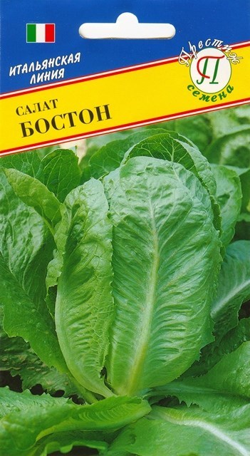 картинка Салат Бостон 0,5г (Престиж) с/ранний, кочанный, зеленый магазин Одежда+ являющийся официальным дистрибьютором в России 