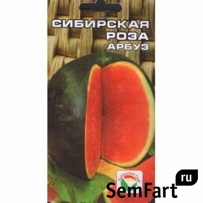 картинка Арбуз Сибирская роза (СибСад) магазин Одежда+ являющийся официальным дистрибьютором в России 
