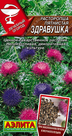 картинка Расторопша Здравушка пятнистая 5шт ц/п (Аэлита) лекарств. магазин Одежда+ являющийся официальным дистрибьютором в России 