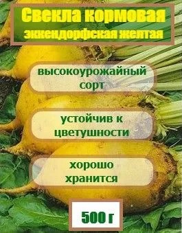 картинка Свекла кормовая Желтая Эккендорфская фасовка 0,5кг (Ал.склад) магазин Одежда+ являющийся официальным дистрибьютором в России 