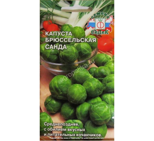 картинка Капуста брюссельская Санда 0,3г ц/п (Седек) ср/поздняя  магазин Одежда+ являющийся официальным дистрибьютором в России 
