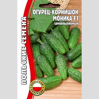 картинка Огурец Моника F1 15шт (Григорьев) Польская селекция магазин Одежда+ являющийся официальным дистрибьютором в России 