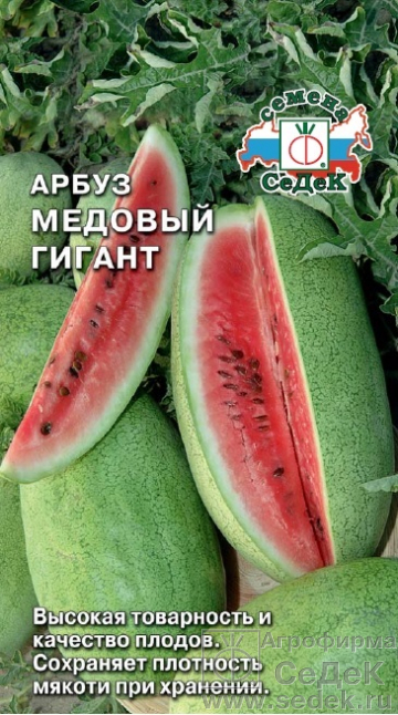 картинка Арбуз Медовый гигант F1 1г ц/п (Седек) магазин Одежда+ являющийся официальным дистрибьютором в России 