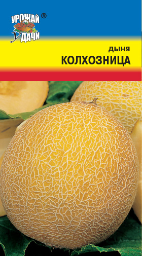 картинка Дыня Колхозница 0,3г ц/п (УУ) среднеспелый 0,7-1,3кг магазин Одежда+ являющийся официальным дистрибьютором в России 