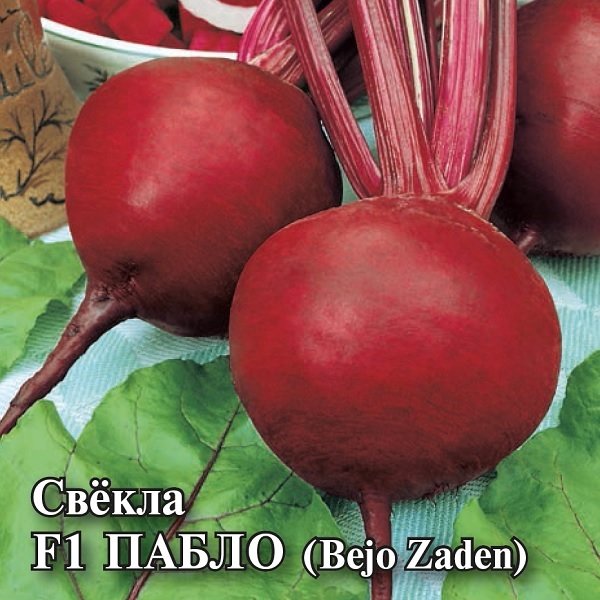 картинка Свекла Пабло F1 10г (Гавриш) магазин Одежда+ являющийся официальным дистрибьютором в России 