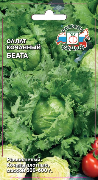 картинка Салат Беата (айсберг) 0,5г ц/п (Седек) магазин Одежда+ являющийся официальным дистрибьютором в России 