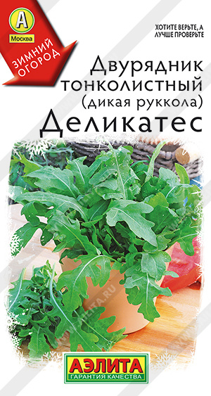 картинка Двурядник тонколистный (рукола дикая) Деликатес 0,2г ц/п (Аэлита)  магазин Одежда+ являющийся официальным дистрибьютором в России 