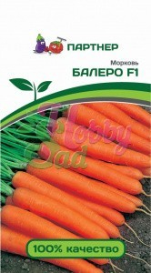 картинка Морковь Болеро F1 0,5г (Партнер) Новинка магазин Одежда+ являющийся официальным дистрибьютором в России 