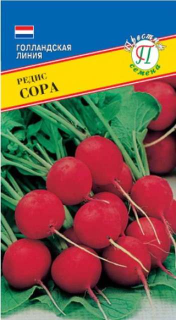 картинка Редис Сора 1г (Престиж) красн.,устойчив к стрелкованию магазин Одежда+ являющийся официальным дистрибьютором в России 