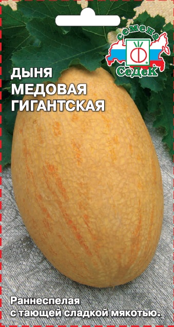 картинка Дыня Медовая гигантская F1 0,5г ц/п (Седек) магазин Одежда+ являющийся официальным дистрибьютором в России 