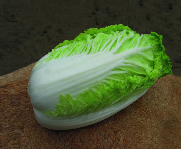 картинка Капуста пекинская Наина F1 0,3г ц/п (Седек) магазин Одежда+ являющийся официальным дистрибьютором в России 