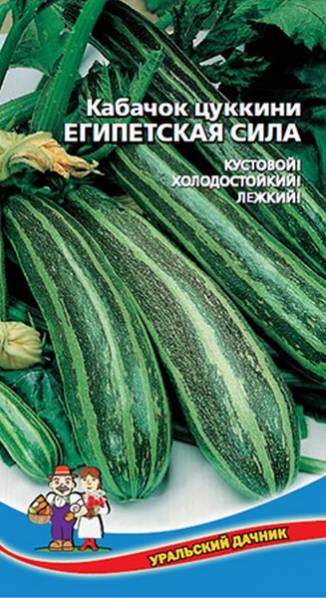 картинка Кабачок Египетская сила 10шт ц/п (УД) кустовой цуккини, полосатый магазин Одежда+ являющийся официальным дистрибьютором в России 