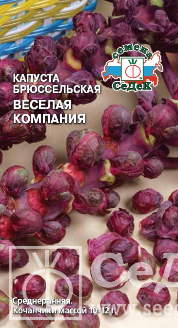 картинка Капуста брюссельская Веселая компания 0,3г ц/п (Седек) красная магазин Одежда+ являющийся официальным дистрибьютором в России 