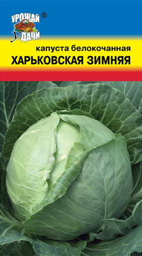 картинка Капуста Харьковская зимняя 0,5г ц/п (УУ) магазин Одежда+ являющийся официальным дистрибьютором в России 