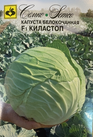 картинка Капуста Киластоп F1 0,1г (Семко) поздняя, 3-4кг магазин Одежда+ являющийся официальным дистрибьютором в России 