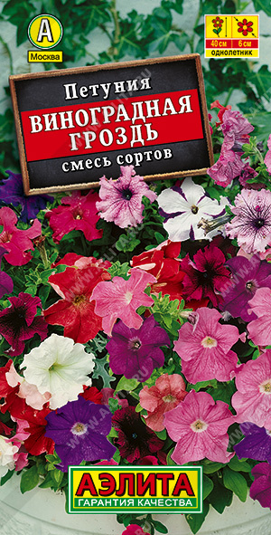 картинка Петуния Виноградная гроздь, смесь 0,05г ц/п (Аэлита) каскадная магазин Одежда+ являющийся официальным дистрибьютором в России 