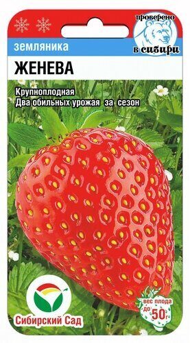 картинка Земляника Женева 10шт (СибСад) магазин Одежда+ являющийся официальным дистрибьютором в России 