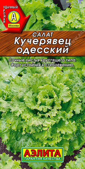 картинка Салат Одесский кучерявец 0,5г ц/п (Аэлита)  магазин Одежда+ являющийся официальным дистрибьютором в России 